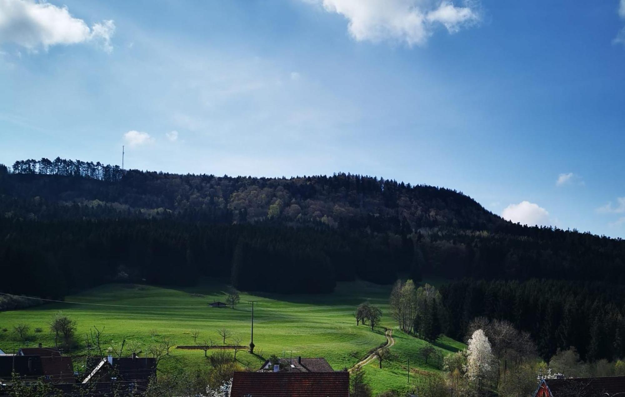 Ferienwohnung Blick Rappenstein Hausen am Tann Екстериор снимка