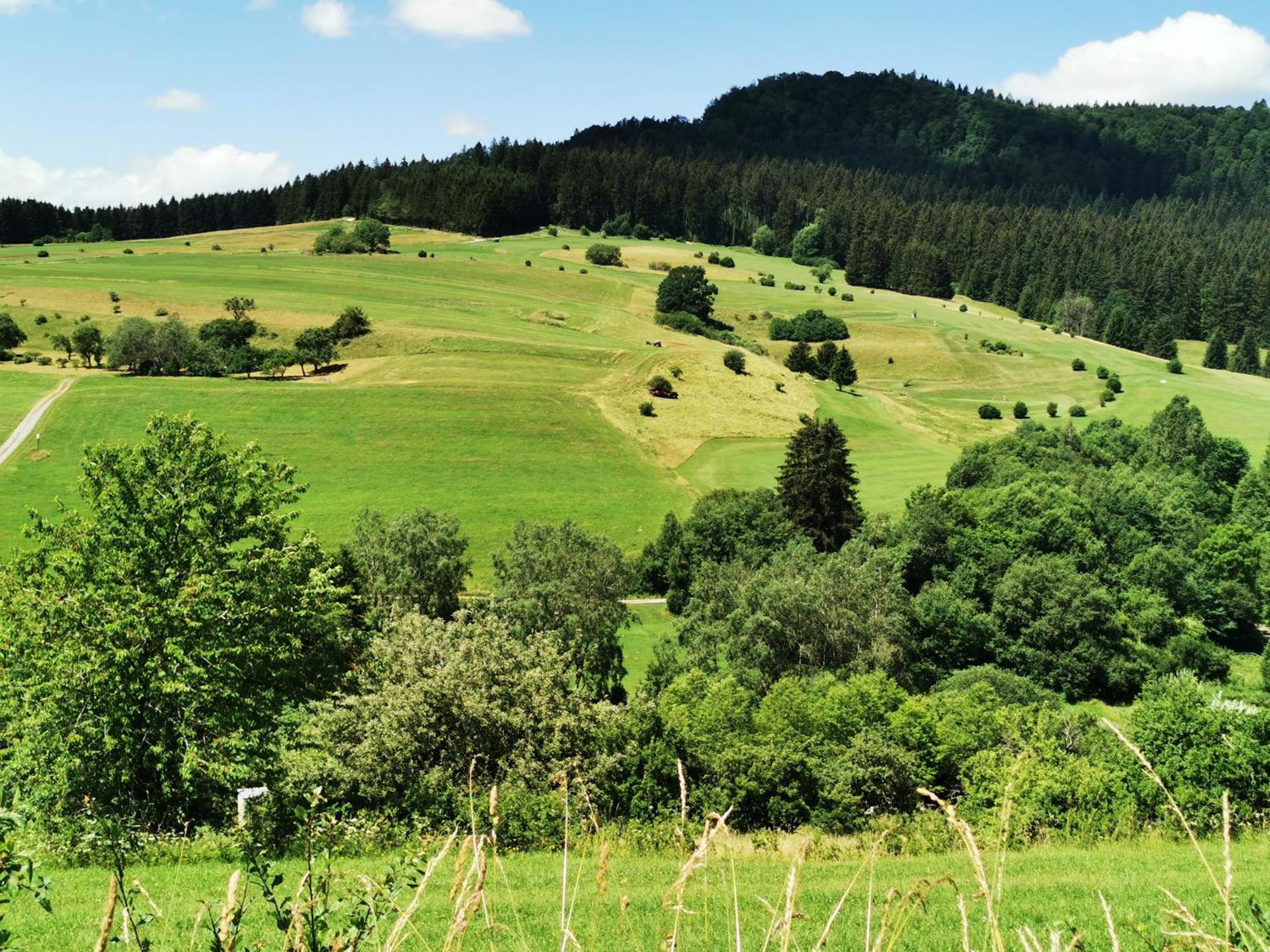 Ferienwohnung Blick Rappenstein Hausen am Tann Екстериор снимка
